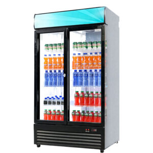 Visicooler evc 1000ds