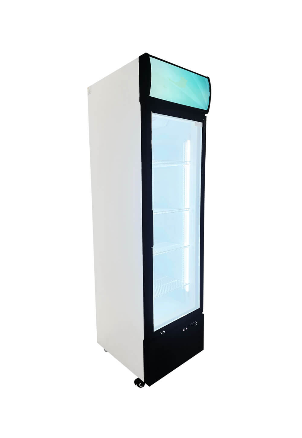 Visicooler EVC-550 - Imagen 6